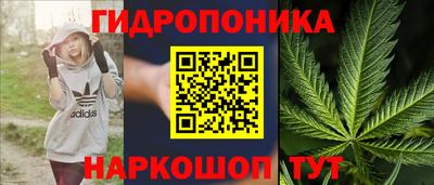 МДПВ Пенза
