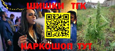 МДПВ Пенза