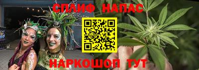 МДПВ Пенза