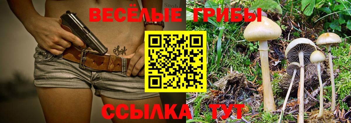 Галлюциногенные грибы ЛСД  Вход с VPN  что такое   Свободный 