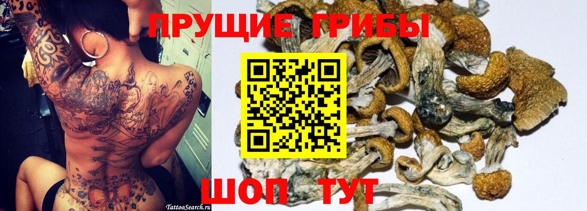 Псилоцибиновые грибы GOLDEN TEACHER Свободный